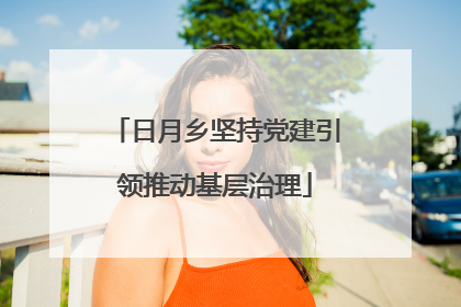 日月乡坚持党建引领推动基层治理