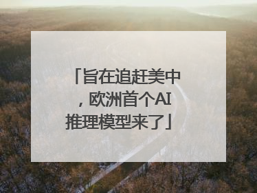 旨在追赶美中，欧洲首个AI推理模型来了