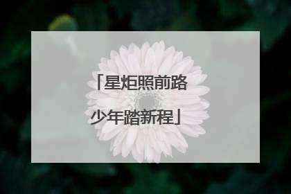 星炬照前路 少年踏新程
