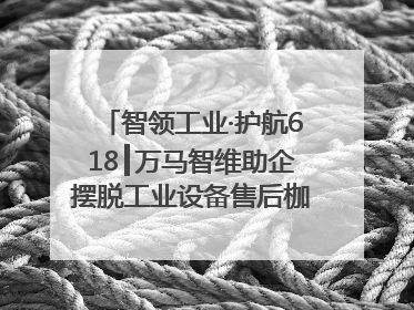 智领工业·护航618┃万马智维助企摆脱工业设备售后枷锁，实现服务与效能价值共振！