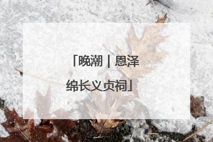 晚潮｜恩泽绵长义贞祠