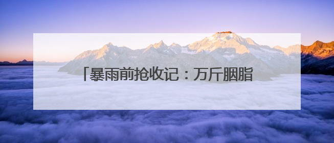 暴雨前抢收记：万斤胭脂红鲜桃传递“双向甜蜜”