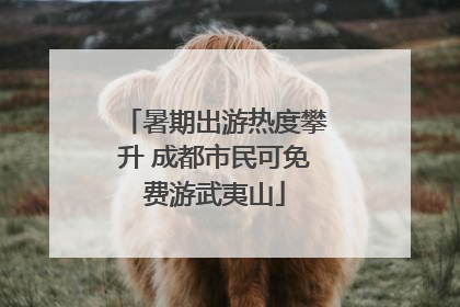 暑期出游热度攀升 成都市民可免费游武夷山
