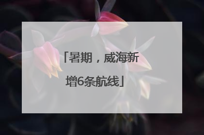 暑期，威海新增6条航线