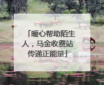 暖心帮助陌生人，马金收费站传递正能量