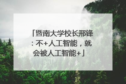暨南大学校长邢锋：不+人工智能，就会被人工智能+