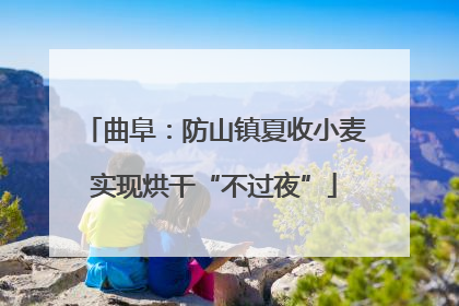曲阜：防山镇夏收小麦实现烘干“不过夜”