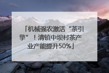机械强农激活“茶引擎”！清镇中坝村茶产业产能提升50%