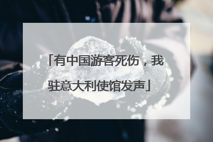 有中国游客死伤，我驻意大利使馆发声
