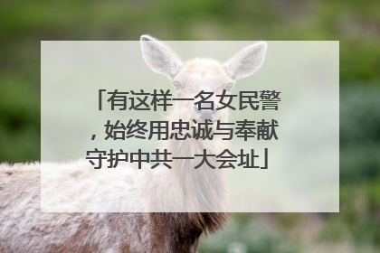 有这样一名女民警，始终用忠诚与奉献守护中共一大会址