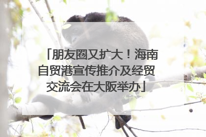 朋友圈又扩大！海南自贸港宣传推介及经贸交流会在大阪举办