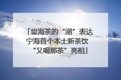 望海茶的“潮”表达 宁海首个本土新茶饮“又喝那茶”亮相