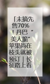 未摘先售70%！丹巴“美人脆”苹果尚在枝头就被预订｜长征路上看四川