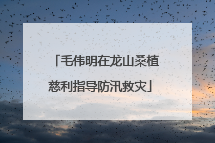 毛伟明在龙山桑植慈利指导防汛救灾