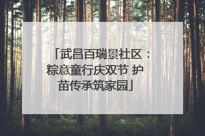 武昌百瑞景社区：粽意童行庆双节 护苗传承筑家园