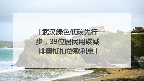 武汉绿色低碳先行一步，39位居民用碳减排量抵扣贷款利息