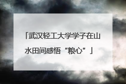 武汉轻工大学学子在山水田间感悟“粮心”