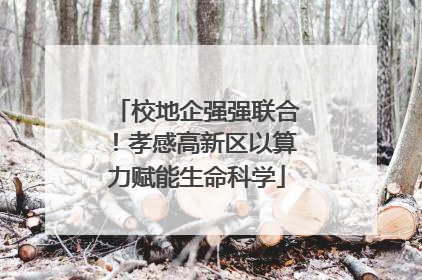校地企强强联合！孝感高新区以算力赋能生命科学