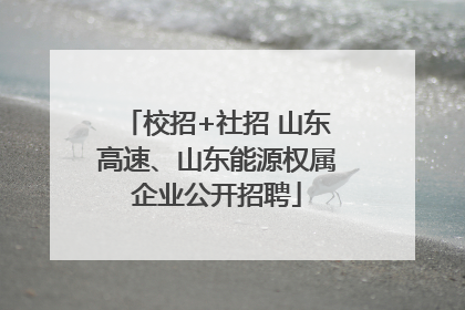 校招+社招 山东高速、山东能源权属企业公开招聘