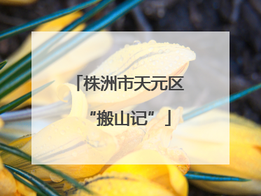 株洲市天元区“搬山记”