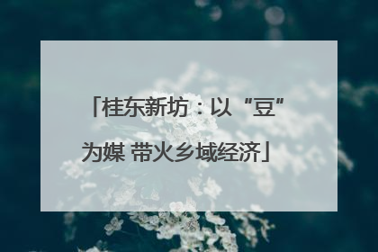 桂东新坊：以“豆”为媒 带火乡域经济