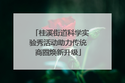 桂溪街道科学实验秀活动助力传统商圈焕新升级