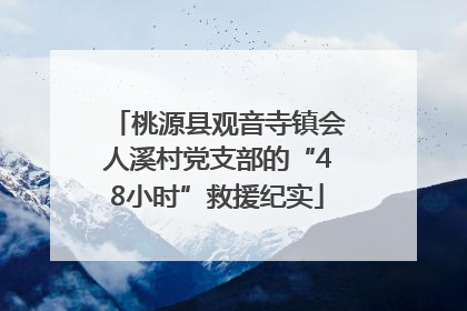 桃源县观音寺镇会人溪村党支部的“48小时”救援纪实