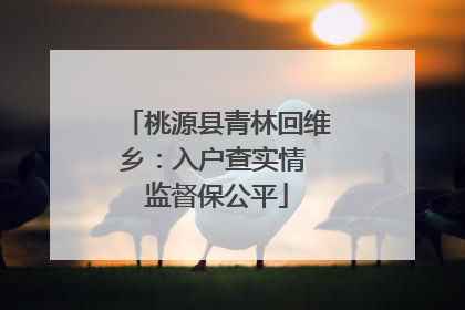 桃源县青林回维乡：入户查实情 监督保公平