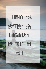 桐柏“朱砂红桃”搭上邮政快车抢“鲜”出村