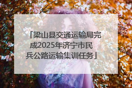 梁山县交通运输局完成2025年济宁市民兵公路运输集训任务