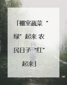 棚室蔬菜“绿”起来 农民日子“红”起来