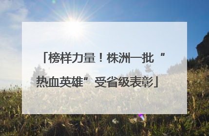 榜样力量！株洲一批“热血英雄”受省级表彰