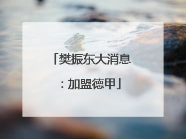 樊振东大消息：加盟德甲