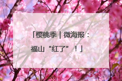 樱桃季｜微海报：福山“红了”！