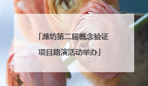 潍坊第二届概念验证项目路演活动举办
