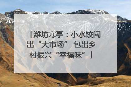 潍坊寒亭：小水饺闯出“大市场” 包出乡村振兴“幸福味”