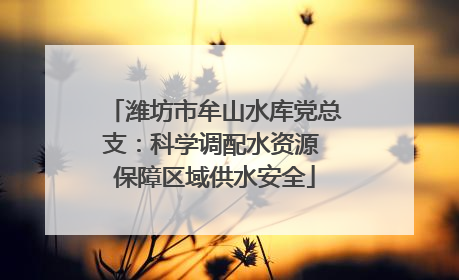 潍坊市牟山水库党总支：科学调配水资源 保障区域供水安全