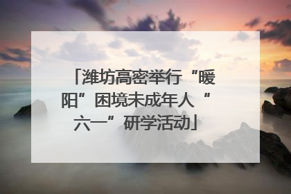 潍坊高密举行“暖阳”困境未成年人“六一”研学活动