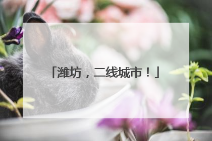 潍坊，二线城市！