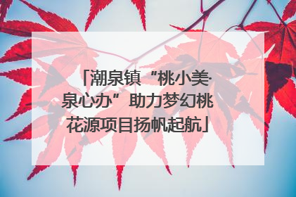 潮泉镇“桃小美·泉心办”助力梦幻桃花源项目扬帆起航