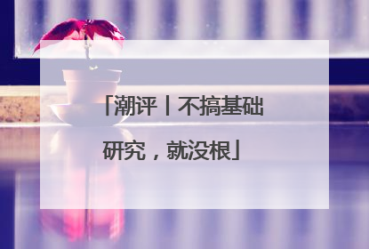 潮评丨不搞基础研究，就没根