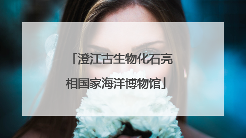 澄江古生物化石亮相国家海洋博物馆