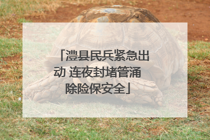澧县民兵紧急出动 连夜封堵管涌除险保安全