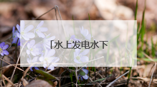 水上发电水下养鱼，青岛这个村百亩竹节虾抢“鲜”上市