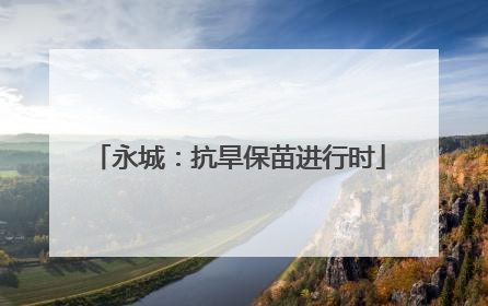 永城：抗旱保苗进行时