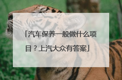 汽车保养一般做什么项目？上汽大众有答案