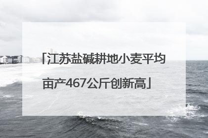 江苏盐碱耕地小麦平均亩产467公斤创新高