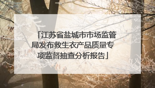 江苏省盐城市市场监管局发布救生衣产品质量专项监督抽查分析报告