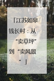 江苏如皋钱长村：从“卖草坪”到“卖风景”