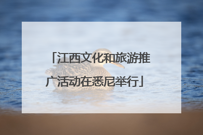 江西文化和旅游推广活动在悉尼举行